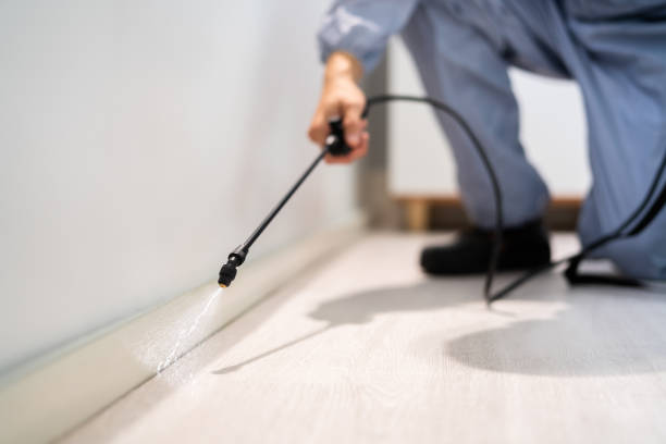 Licensed Mosquito Control service in Robbinsdale, MN - Show Me Pest Control