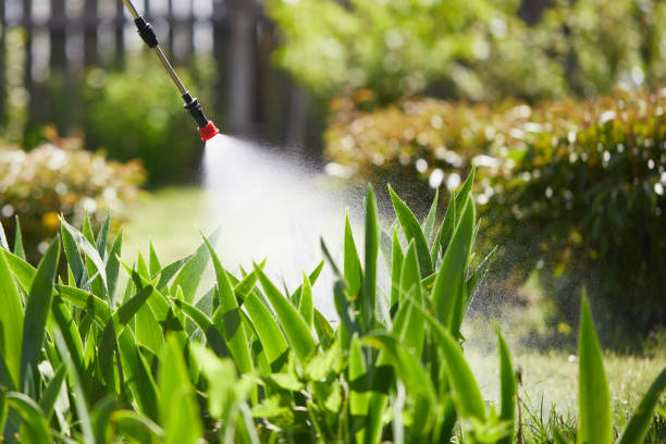 24/7 Emergency Mosquito Control experts in Robbinsdale, MN