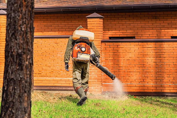 Top rated local Mosquito Control specialists in Robbinsdale, MN